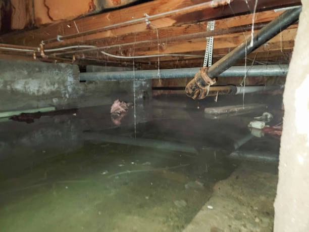 Best Emergency water damage restoration  in Edisto, SC