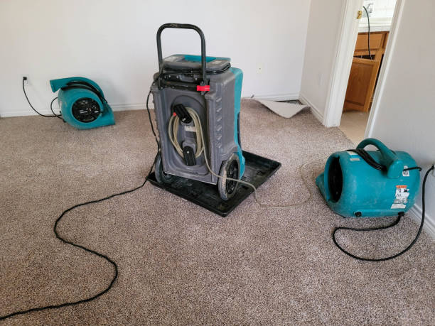 Best Flooded house restoration  in Edisto, SC