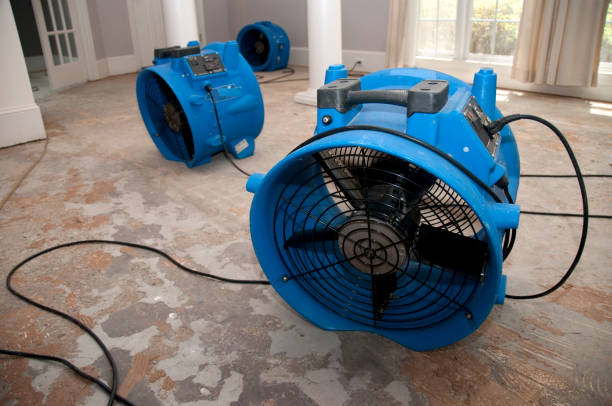 24/7 water damage repair in Edisto, SC