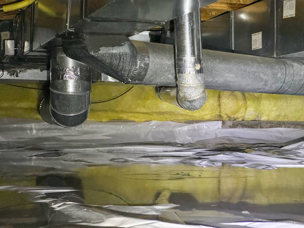 Best Basement water damage restoration  in Edisto, SC