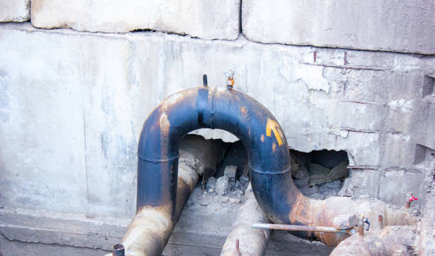 Best Water damage mitigation services  in Edisto, SC