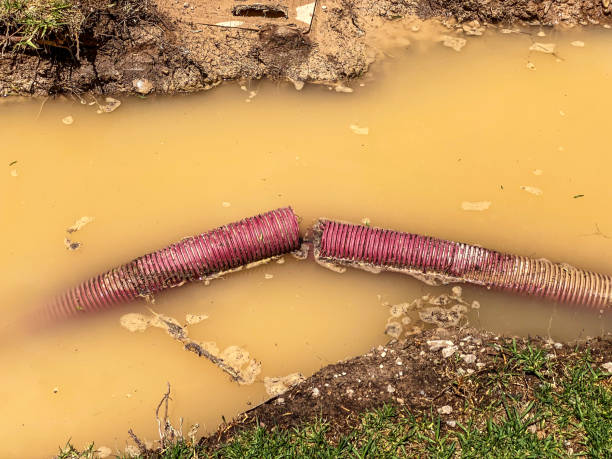 Reliable Edisto, SC Water damage restoration Solutions
