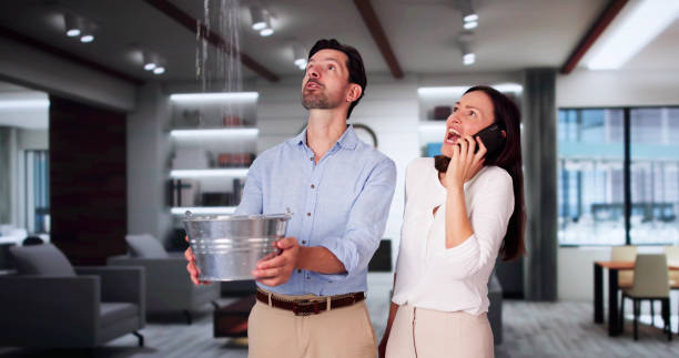 Best 24/7 water damage repair  in Edisto, SC
